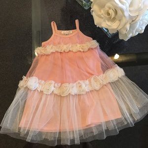 Baby Sara Girl’s Pink Floral Tulle Dress 24 mos